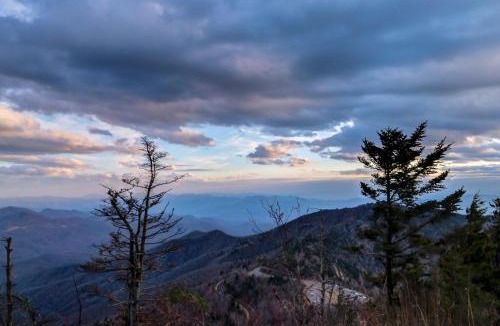 Sugar Mountain House | Snowlake B-11