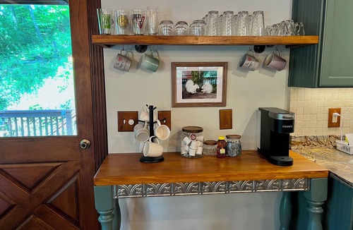 Brevard Cabin | Spacious, fun cabin-perfect for family & MTB group