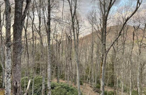 Boone House | Sprawling Blowing Rock Escape with Theater and Hot Tub