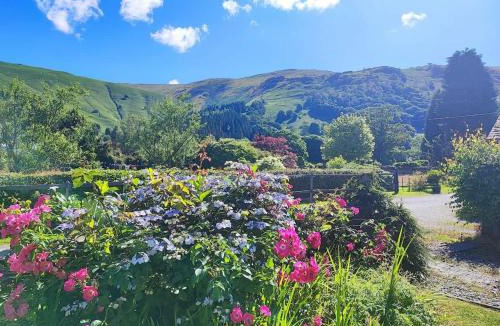 Grasmere Apartment | Springfield House