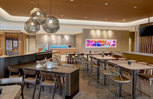 Paw Creek Hotel | SpringHill Suites by Marriott Charlotte at Carowinds
