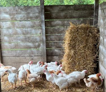 Walliswood Bed & Breakfast | Stay with Robin