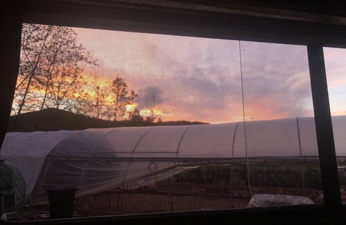 Candler RV Rental | Stoney Creek Oasis Tent Sites and Glamping Yurts