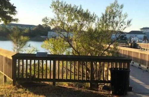 East Ocean View Apartment | Studio couple a few blocks from the beach!