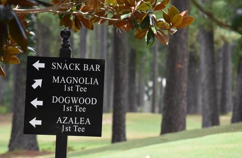 Calabash Apartment | Studio Golf Home 2301L with Resort Amenities