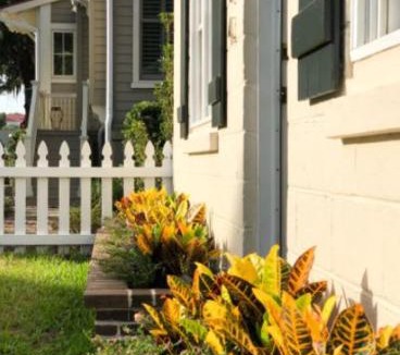Downtown House | Stylish Downtown Cottage - Prime Historic Location
