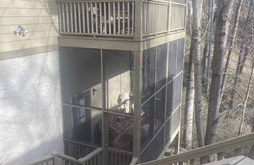 Historic Montford Apartment | Stylish Studio in the Trees - Montford