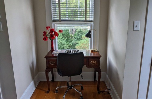 Durham Apartment | Sunny efficiency in historic home
