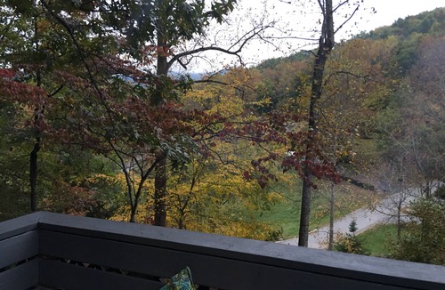 Black Mountain Apartment | Sweet little first level mountain home tucked away in Black Mountain.