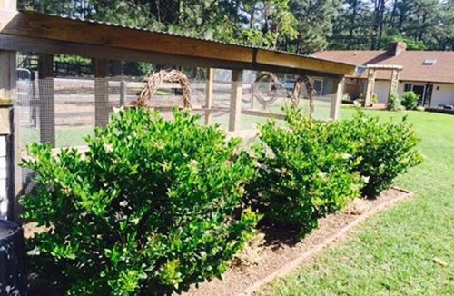 Southern Pines Apartment | Tanglewood Farm - Tally Ho Suite 1 BR/1BA Private Apartment on Horse Farm