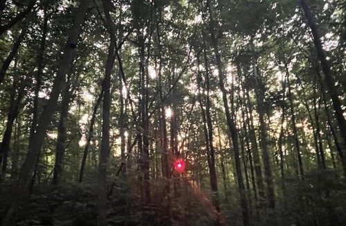Lynn Other | Tentrr Signature Site - Mountain View in Tryon