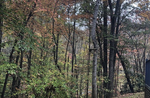 Sylva House | The BEST Pet friendly Sylva NC Mountain Retreat Near WCU and downtown❤️