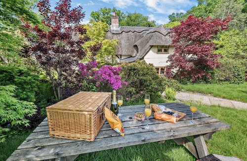 New Forest District House | The Cottage: Idyllic New Forest Thatched Cottage 5 Bedrooms
