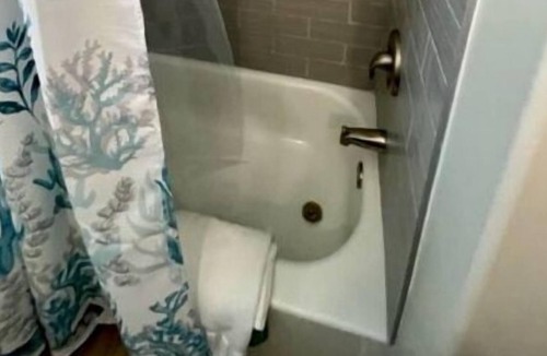 Morehead City Apartment | The Grove House Near the Sea - Newly Renovated 6 minutes from downtown