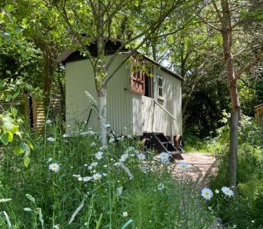 Littlebredy Apartment | The Hide on the Vineyard with wood fired hot tub Option
