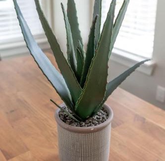 Chestnut Hill House | The Martin by Stay Local Nashville