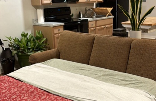 North Charlotte Apartment | The Nook @Noda