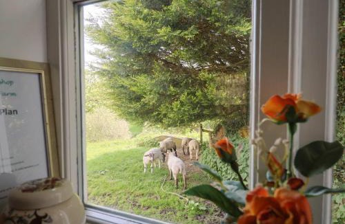 Knowstone House | The Old Workshop
