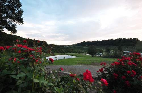 Hendersonville Apartment | The Orchard Suite: Serenity in nature