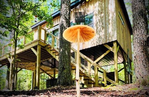 Connellys Springs Cabin | The Perch…a modern storybook treehouse with hot tub