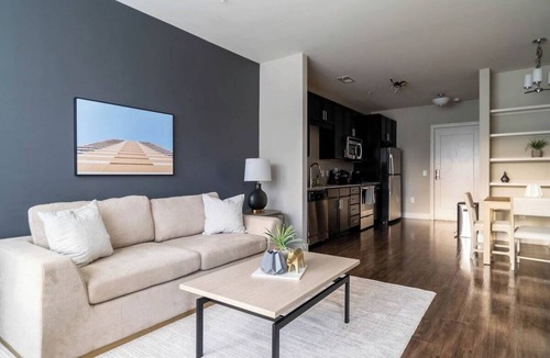 Downtown Apartment | The Raleigh II Vibe 8723