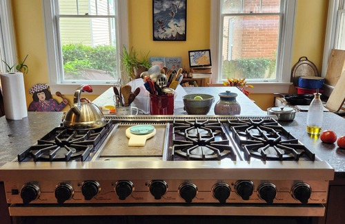 Wilmington Historic District House | The Rosemann-Historic 6-bedroom Downtown Wilmington home with many amenities
