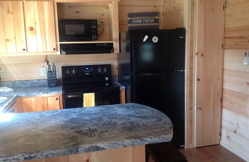 Mill Spring Cabin | TINY CABIN IN TRYON NC - 3 MILES TO TIEC- PET FRIENDLY