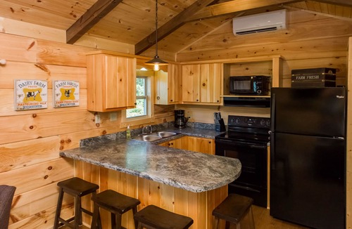 Mill Spring Cabin | TINY CABIN IN TRYON NC - 3 MILES TO TIEC- PET FRIENDLY
