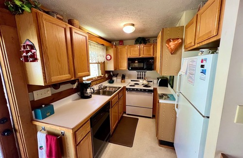 Zionville Cabin | Traders Gap - Hot Tub, Private Log Cabin, Wifi