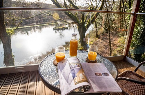 Beaworthy House | Treehouse in Germansweek near Dartmoor Trails