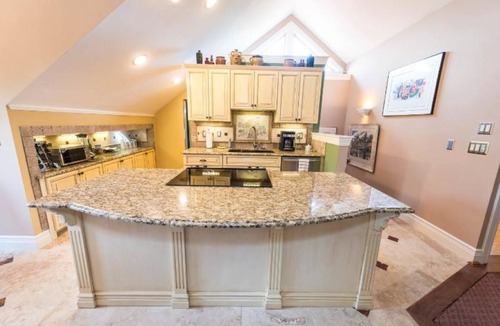 Skyland House | Ultimate Luxury Carriage House Gated Community South AVL = Close to everything!