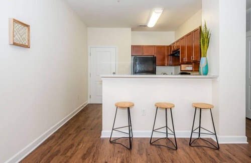 SouthPark Apartment | Viagem Charlotte Perfect 1BR with Gym & Parking