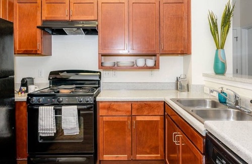 SouthPark Apartment | Viagem Charlotte Perfect 1BR with Gym & Parking