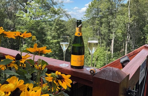 Charter Hills Cabin | Voted #1 new home on Beech, loft, views, hot tub, pets, private, decks & firepit