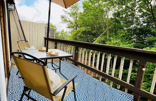 Beech Mountain Apartment | Walk to Biking Trails! Pet Friendly! Hike & Wine!