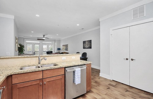 Davidson Condo | Walkable Davidson, Penthouse all on one level with no stairs