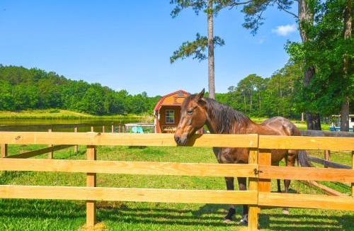 Benson House | Waterfront Benson Retreat Rescue Farm with a Lake!