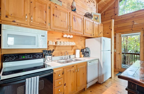 Lake Lure Cabin | Waterfront~Log Cabin on the Broad River in Lake Lure