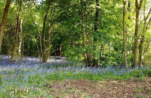 Bromham House | Wayside B&B