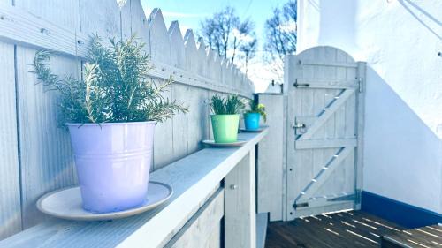 St Austell Apartment | White Eden - explore Cornwall from a comfy central appartment