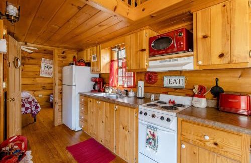 Asheville House | Willow Pond Cabin that is peaceful and quiet