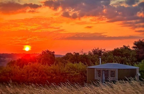 Redbrook Other | Yurt Ash tree