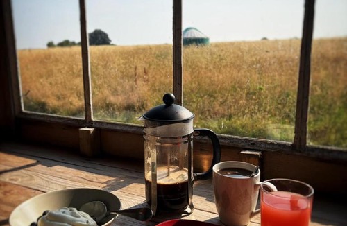 Redbrook Other | Yurt Ash tree