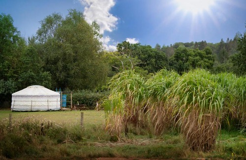 Burrington Other | Yurt in Devon