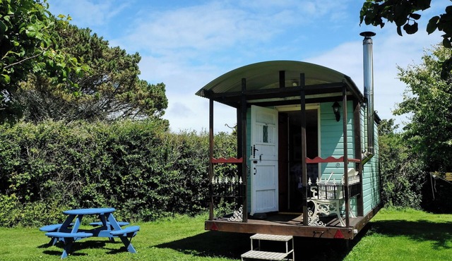 1Bed Cabin Sleeps 2- Parking,Fireplace,Garden,Pets