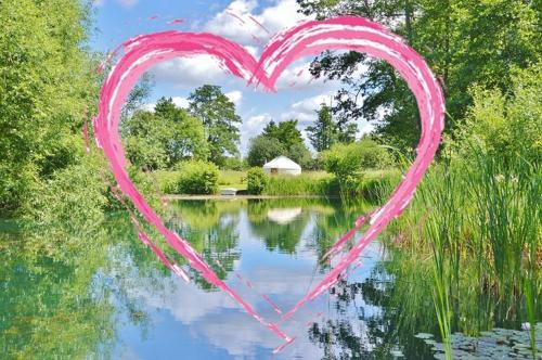 Acorn Glade Glamping York