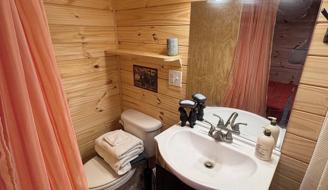 Adorable 2-bedroom/loft cabin with AC in charming Enoree on the river