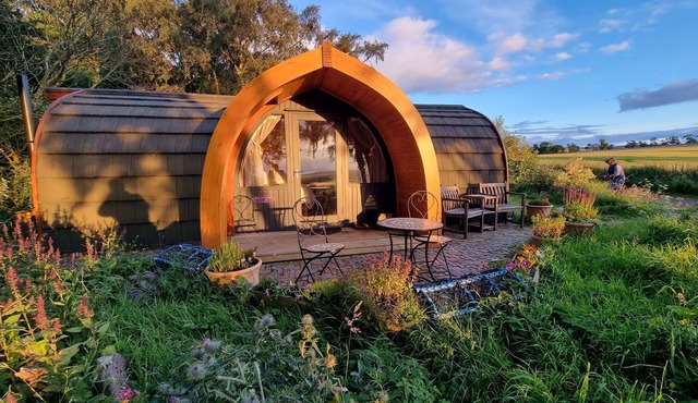 Bass Rock Pod - Luxury King Size Bed - Sea View