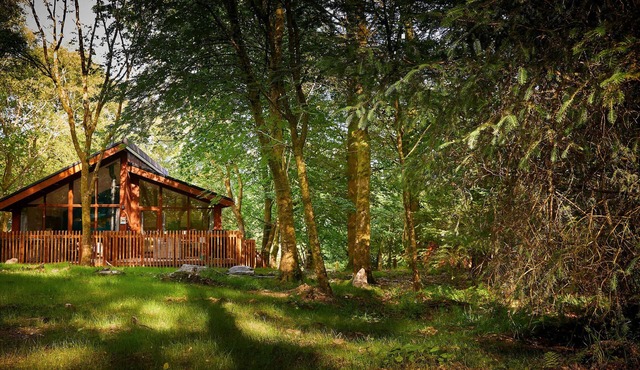 Beddgelert Golden Oak - Fresh Design, Beddgelert