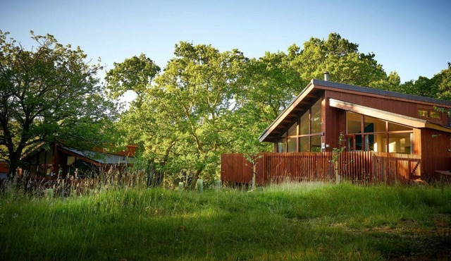 Beddgelert Silver Birch Cabin, Beddgelert